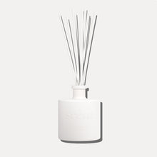Scent inspired by Daily Routine Shampoo